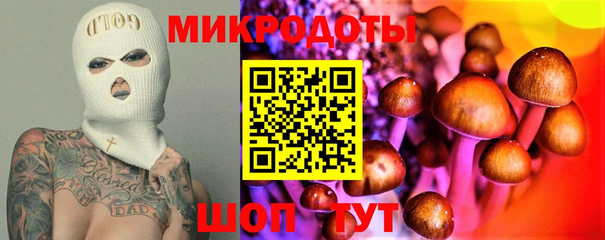Галлюциногенные грибы прущие грибы Советск