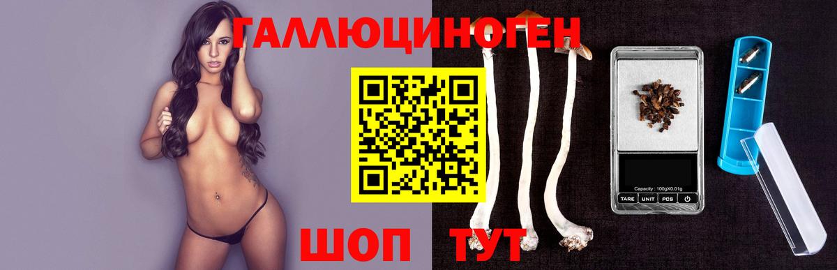 Советск  Псилоцибиновые грибы мицелий  Псилоцибиновые грибы GOLDEN TEACHER  Вход с VPN 